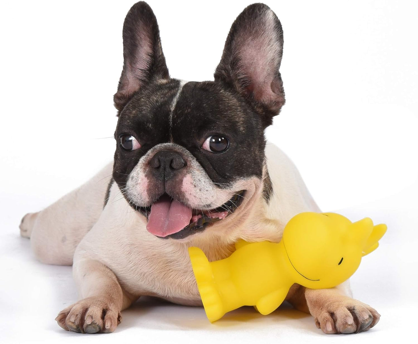 Charlie Brown Woodstock Vinyl Squeaker Dog Toy - Durable Squeaky Toy for All Breeds, Ideal for Aggressive Chewers, 5.5 Inches