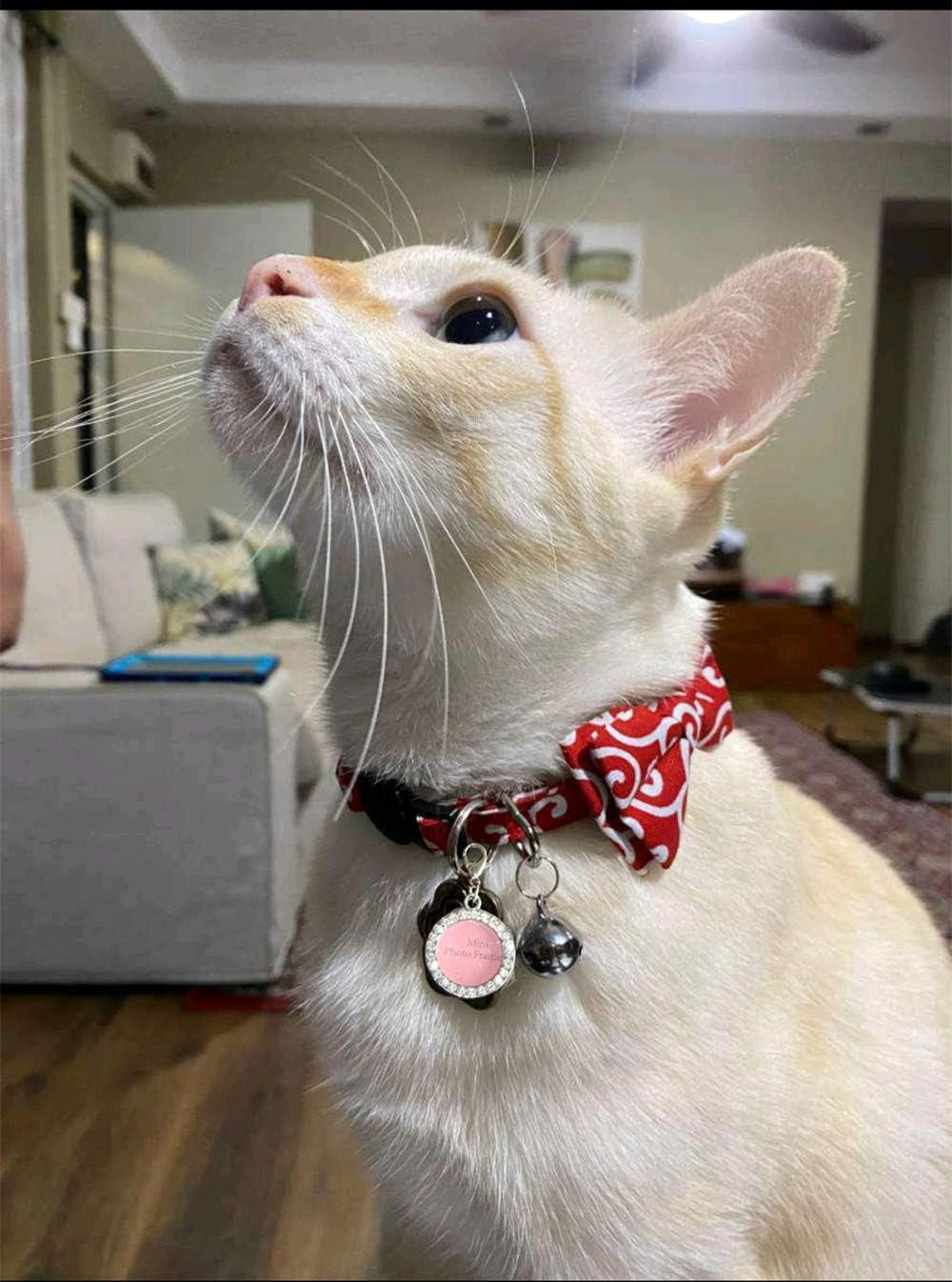 Ninja Style Adjustable Breakaway Cat Collar with Bell & Bow Tie - Red, Perfect for Kittens & Cats (7-11 Inches)