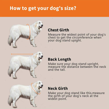 Dog Life Jacket - Adjustable Pet Swimming Vest for Short-Nosed Breeds (Pug, Bulldog, Poodle, Bull Terrier, Samoyed, Alaskan Malamute) - Upgrade Version (XS, Orange)
