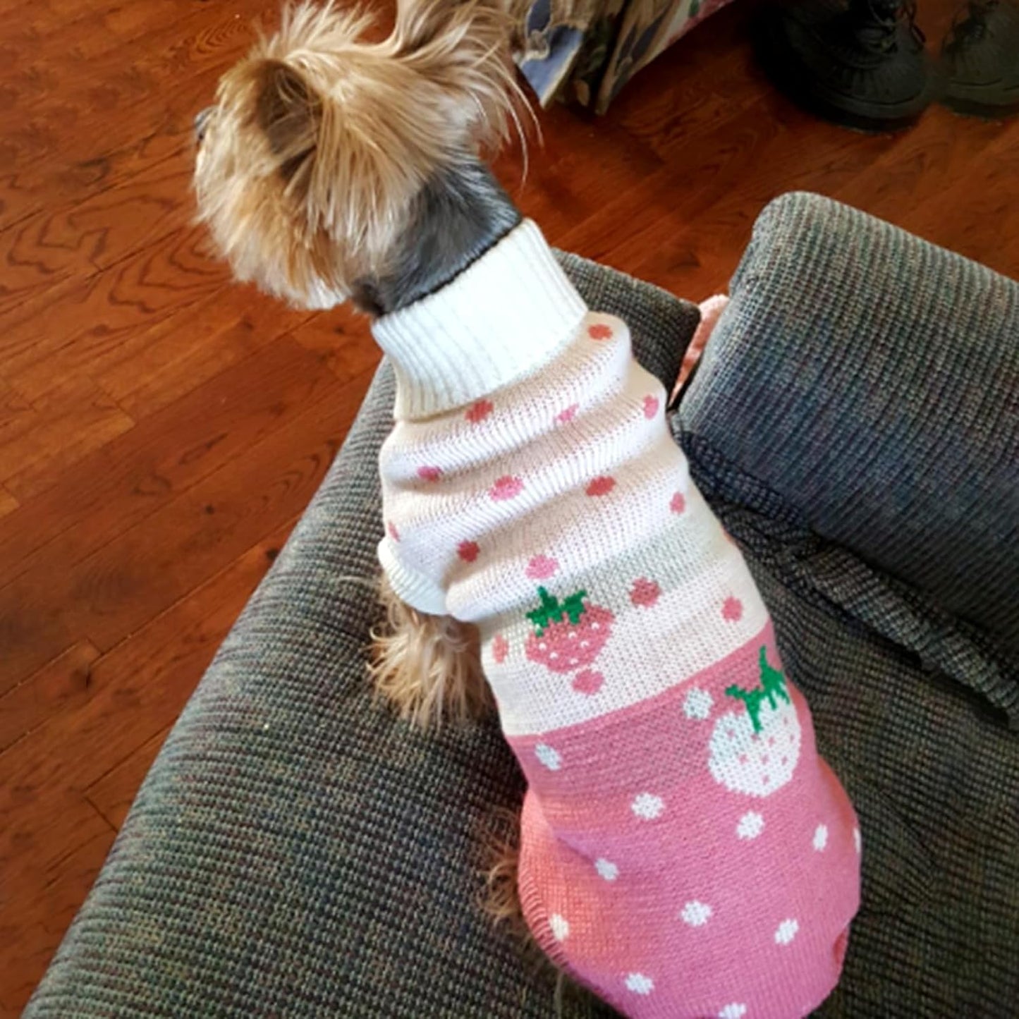 Classic Knit Turtleneck Dog Sweater for Winter - Pink Medium with Strawberry and Heart Design