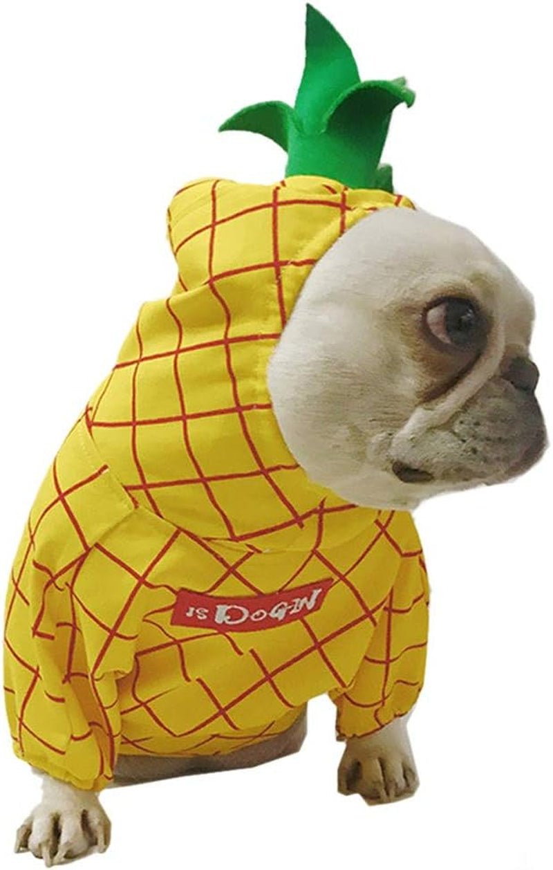 Pineapple-Inspired Dog Costume for Halloween, Christmas, and Special Occasions