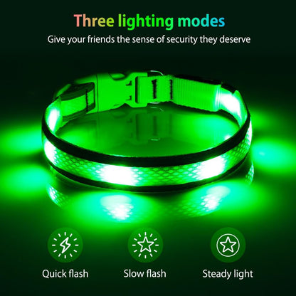 USB Rechargeable LED Dog Collar - High Visibility Glow in the Dark for Night Walking (Small, Fluorescent Green)