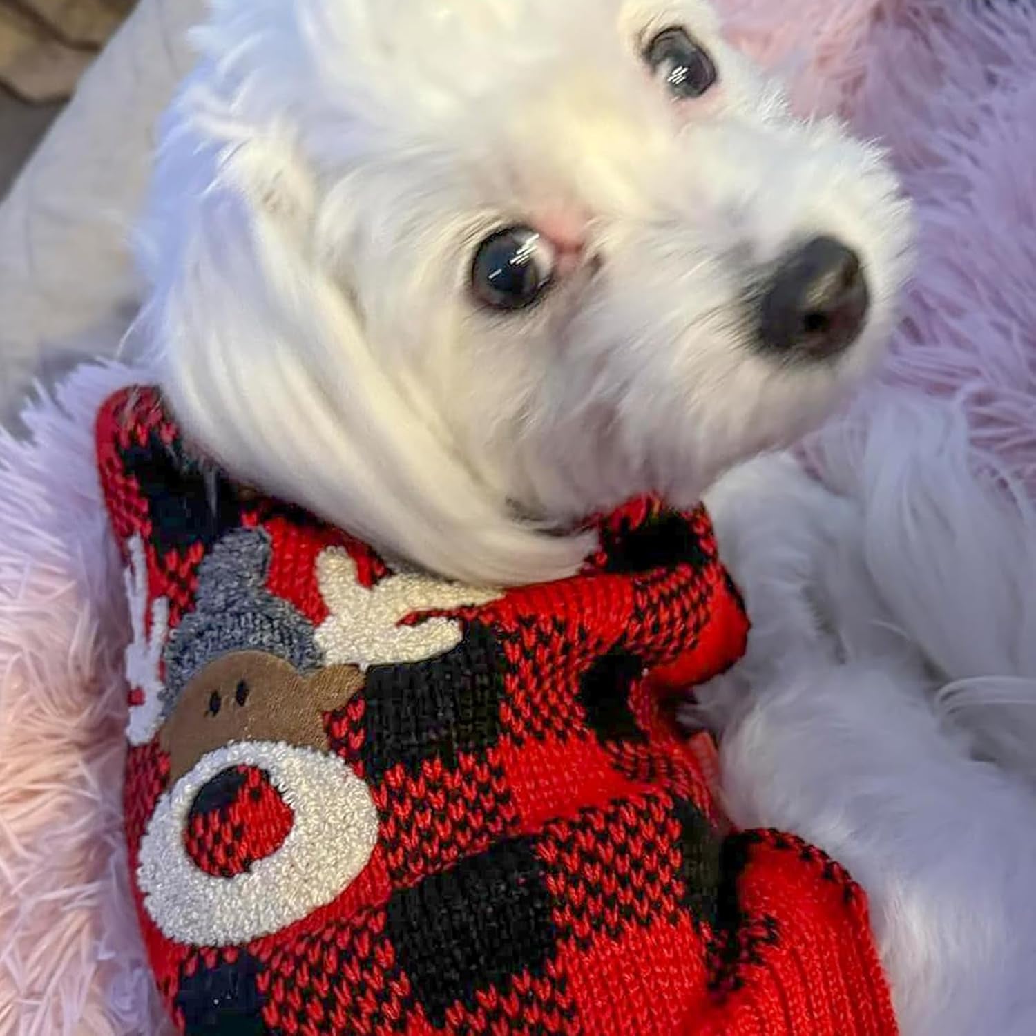 Cozy Red Buffalo Plaid Dog Christmas Sweater with Reindeer Pattern - Turtleneck Knitwear for Small Dogs with Leash Hole