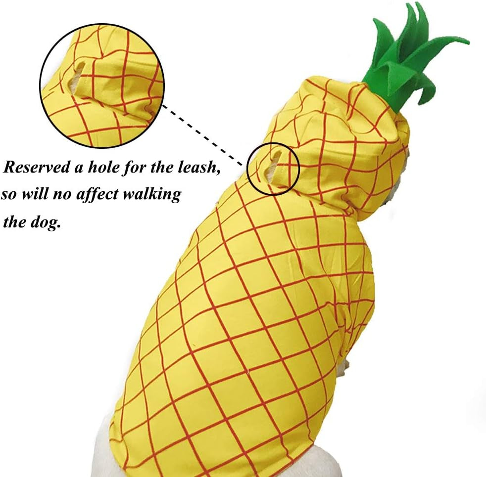 Pineapple-Inspired Dog Costume for Halloween, Christmas, and Special Occasions