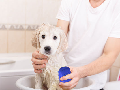 Dog Bath Scrubber Rubber Curry Comb and Pet Grooming Brush with Non-Slip Grip in Blue