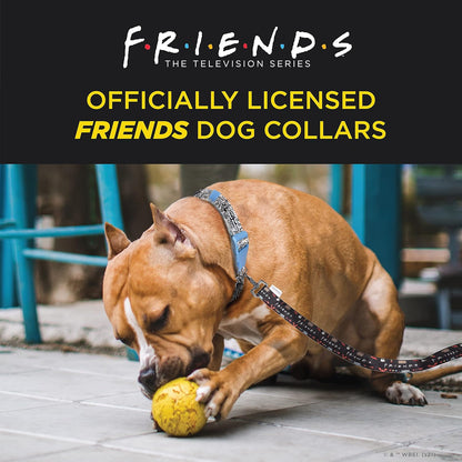 Stylish Black Dog Collar for Medium Breeds - Friends TV Show Merchandise with D-Ring