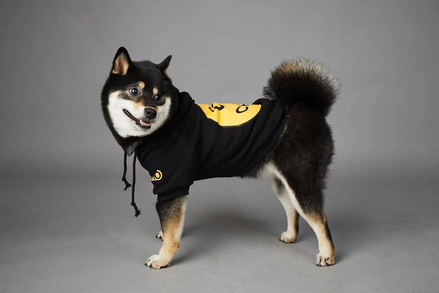 Stylish Smiley Dog Hoodie - Fashionable Cotton Sweater for Small to Large Dogs & Cats (2XL, Black)