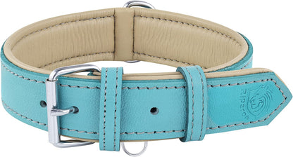 Riparo Genuine Leather Dog Collar for Medium Dogs, 1" Wide (Neck Size 13.5”-17.5”, Aqua)