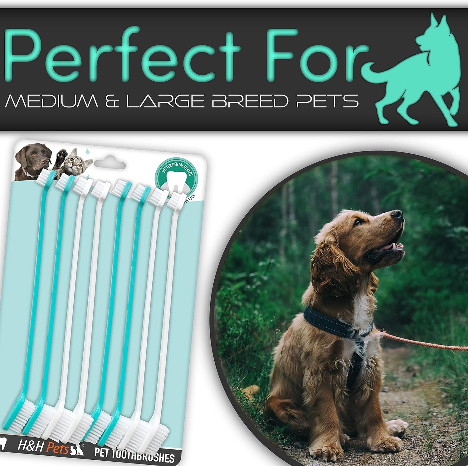 Dual-Headed Dog Toothbrushes for Small and Large Breeds, Available in Packs of 4 or 8