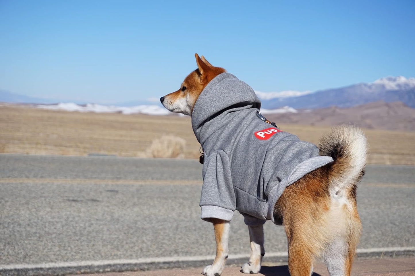 Stylish Pup Hoodie - Cozy Cotton Dog Sweater & Cat Sweatshirt for All Sizes - Trendy Streetwear Tracksuit in Gray