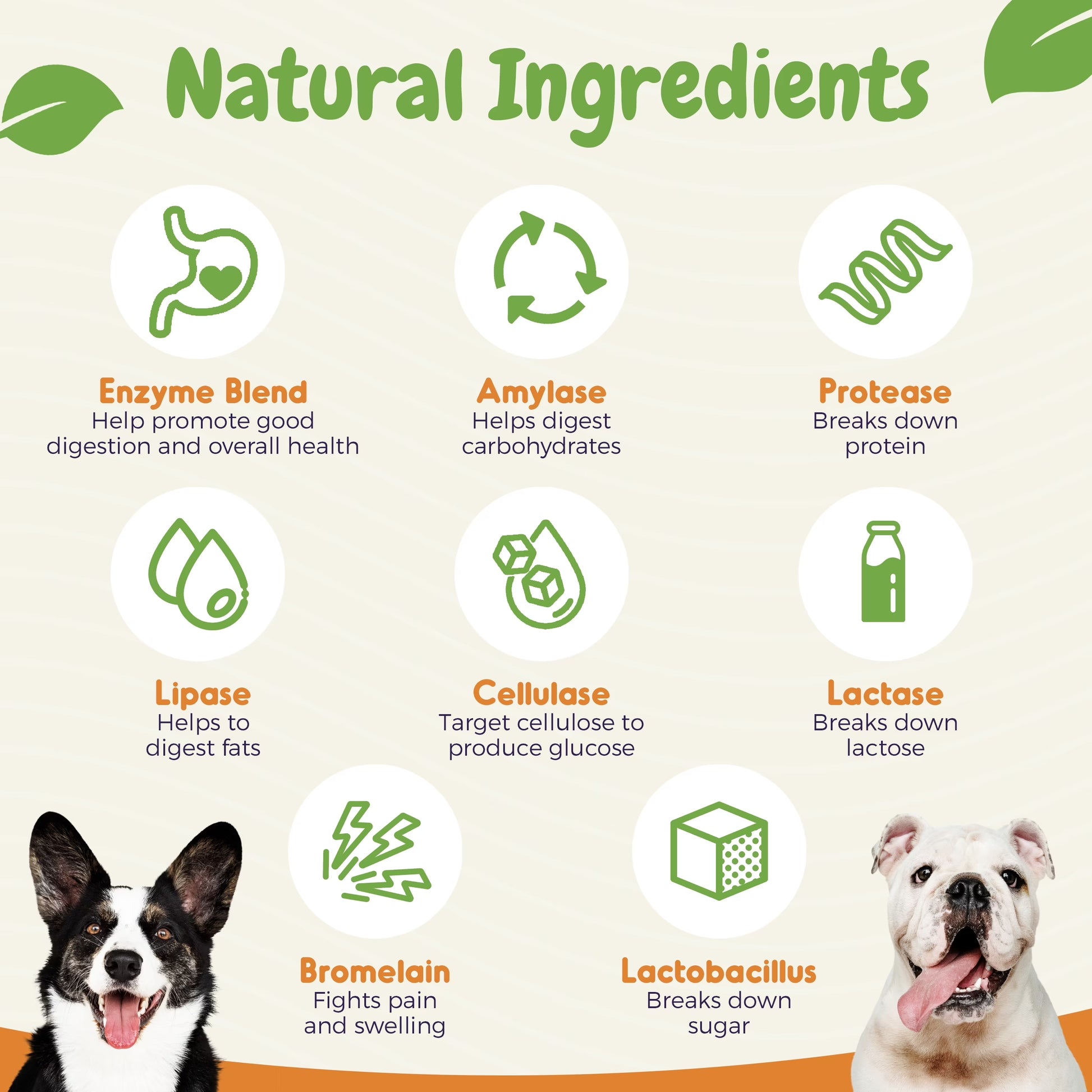 Dog Probiotics Chews for Digestive Health, Itchy Skin Relief, and Yeast Support - 120 Count