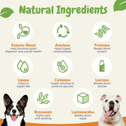 Dog Probiotics Chews for Digestive Health, Itchy Skin Relief, and Yeast Support - 120 Count