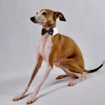Stylish Adjustable Black Dog Bow Tie and Tuxedo Collar Set - Perfect Formal Wear for Medium to Large Dogs at Weddings and Special Occasions