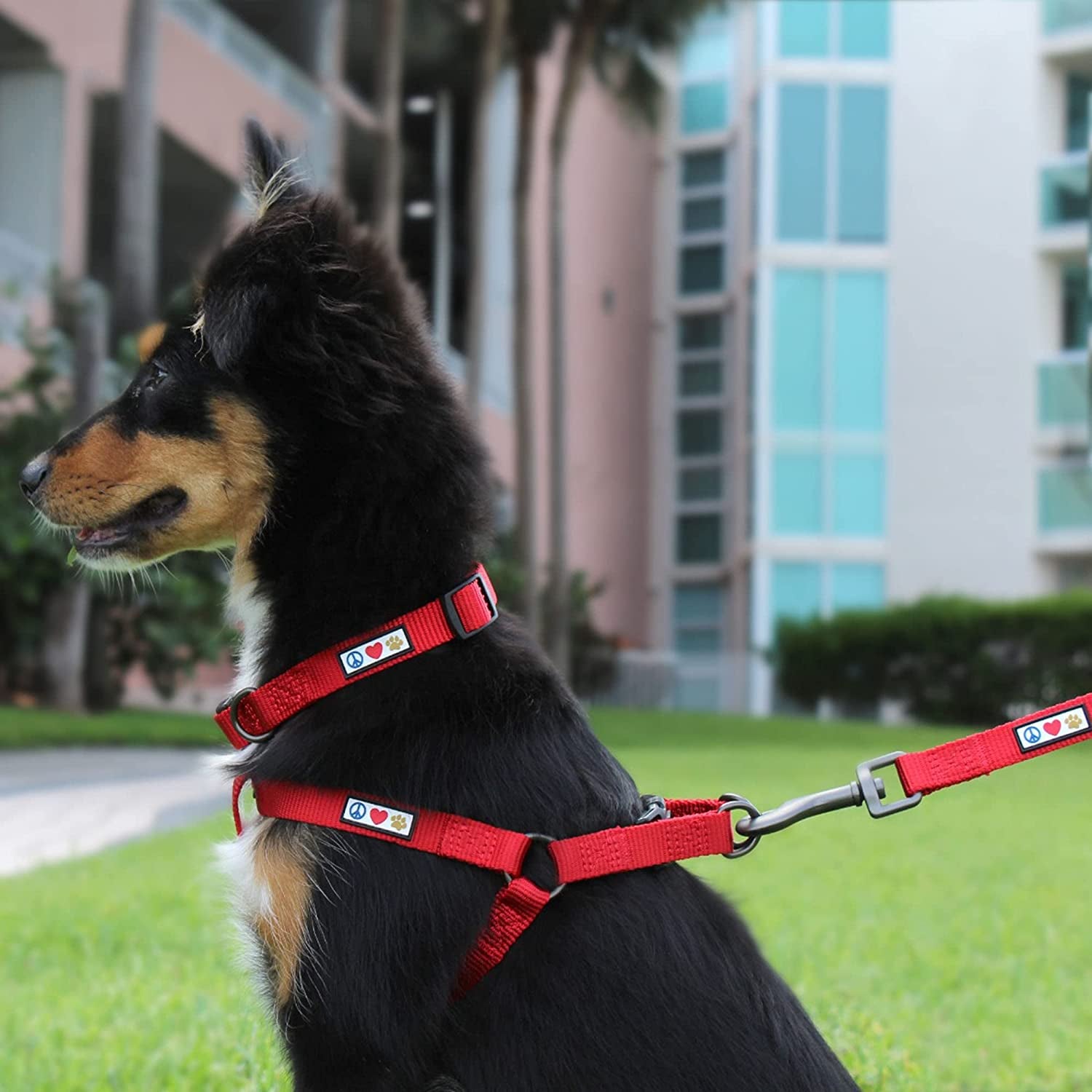 Adjustable Heavy-Duty Waterproof Dog Collar for Large Breeds with Quick-Release Buckle - Lush Green