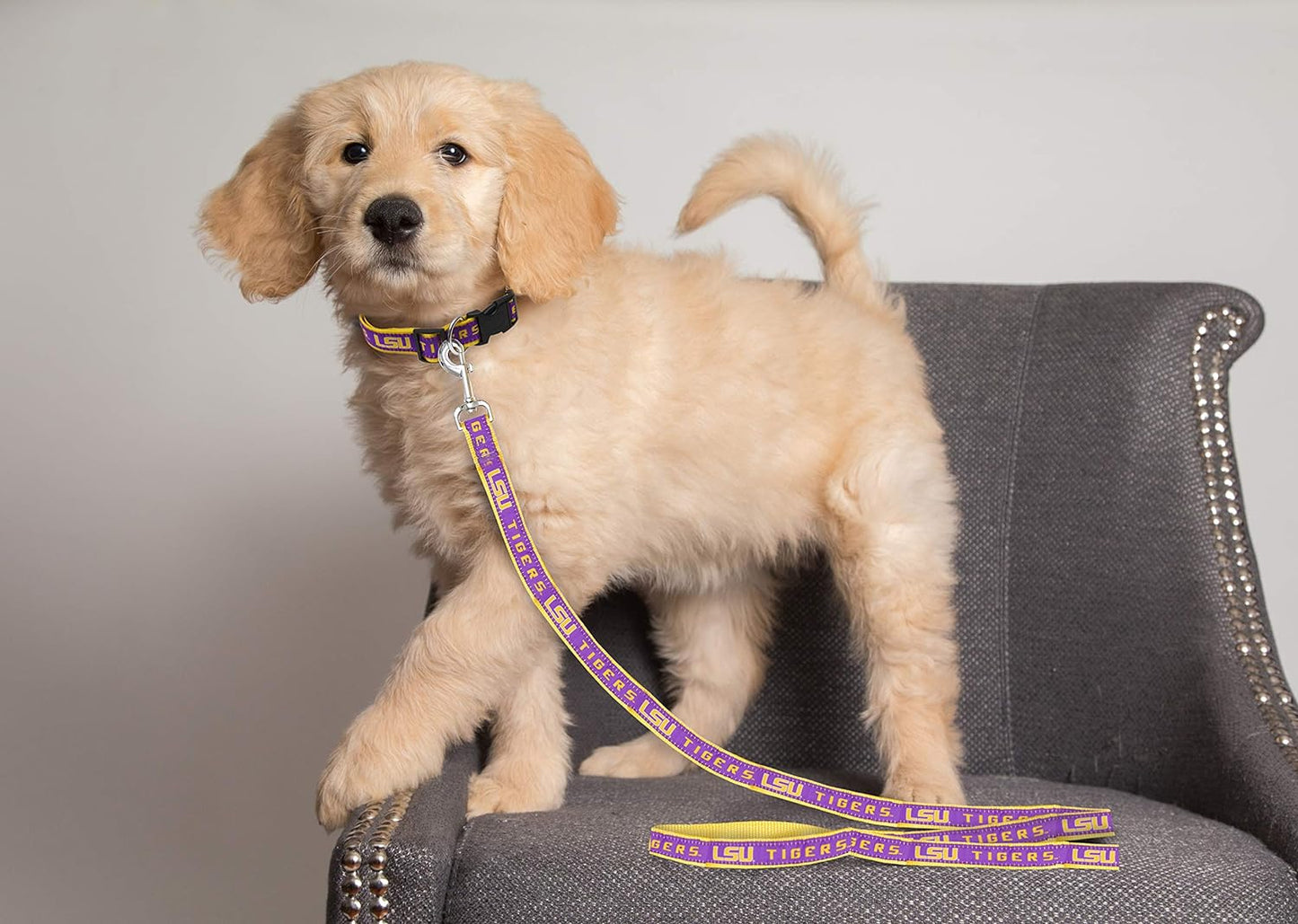 NCAA Licensed LSU Tigers Pet String, Large, Vibrant and Durable String for Dogs and Cats, Classic Edition