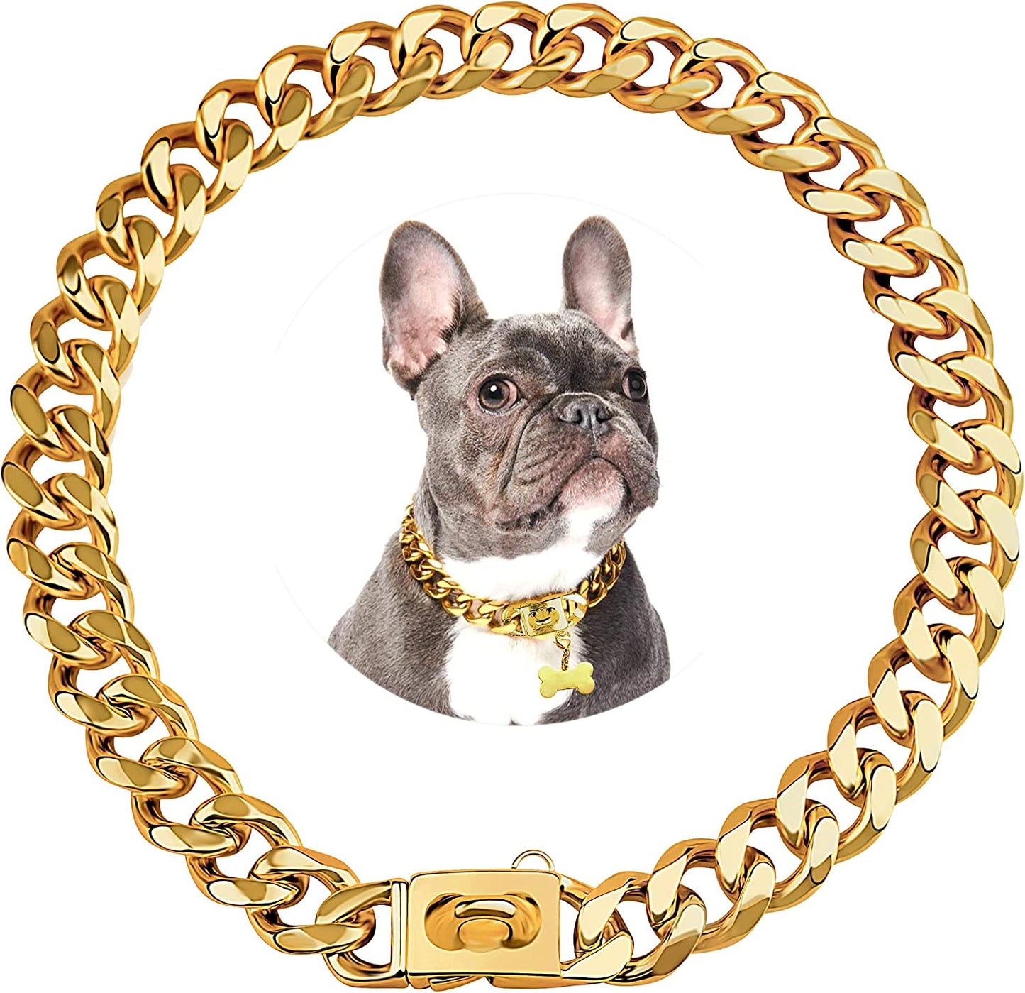Gold Stainless Steel Cuban Link Dog Collar - 19mm Heavy Duty Chew-Proof Necklace with Buckle for Medium to Large Dogs (16 Inch)