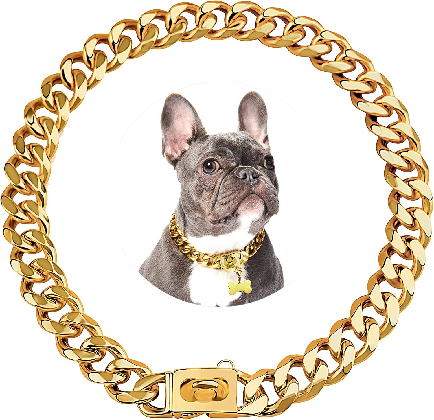 Gold Stainless Steel Cuban Link Dog Collar - 19mm Heavy Duty Chew-Proof Necklace with Buckle for Medium to Large Dogs (16 Inch)