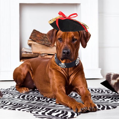 Pet Pirate Hat and Skull-Studded Leather Collar Set for Cats and Dogs - Halloween Costume Accessories