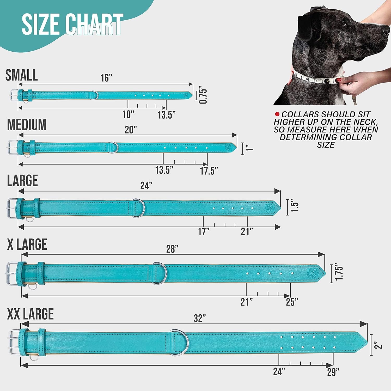 Riparo Genuine Leather Dog Collar for Medium Dogs, 1" Wide (Neck Size 13.5”-17.5”, Aqua)