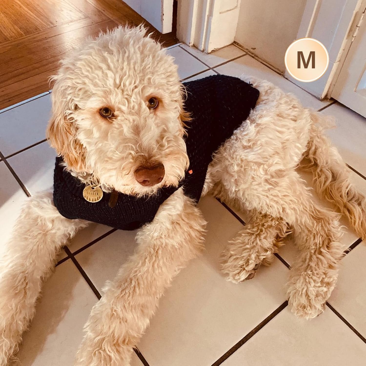 Warm Pullover Dog Sweater with Leash Hole and Reflective Yarn for Small to Medium Male Dogs - Cozy Lightweight Knit Coat in Navy Blue, Medium Size