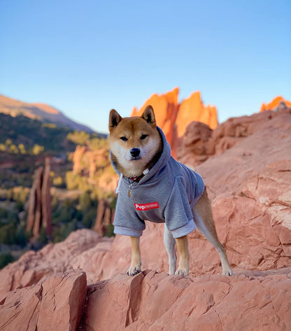 Trendy Pup Dog Hoodie & Sweater - Cozy Gray Cotton Sweatshirts for Cats & Puppies - Sizes S, M, L