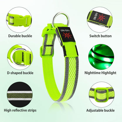 USB Rechargeable LED Dog Collar - High Visibility Glow in the Dark for Night Walking (Small, Fluorescent Green)