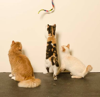 Interactive Cat Toy Wand - Rainbow Design