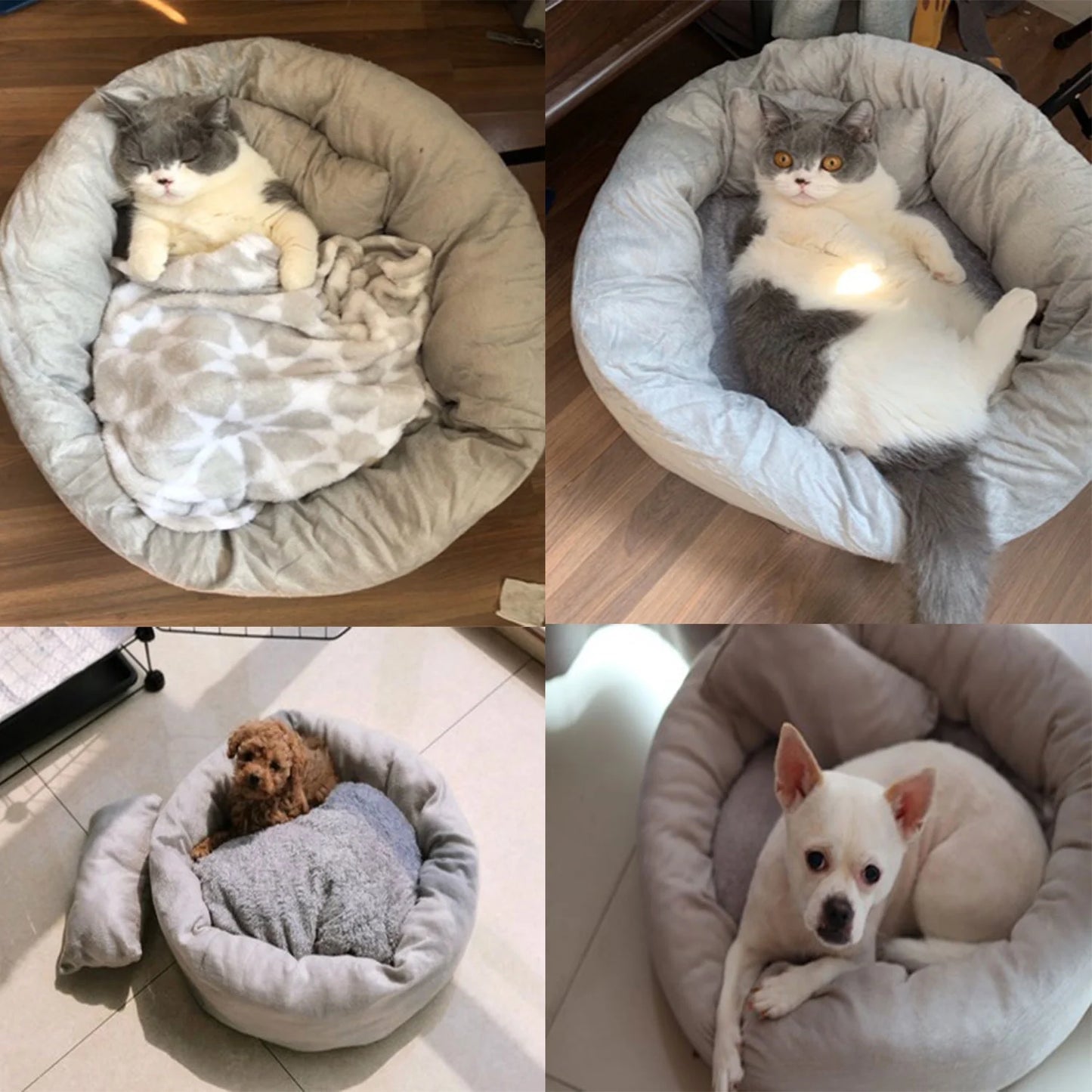 Calming Round Pet Bed with Pillow for Small Dogs and Indoor Cats