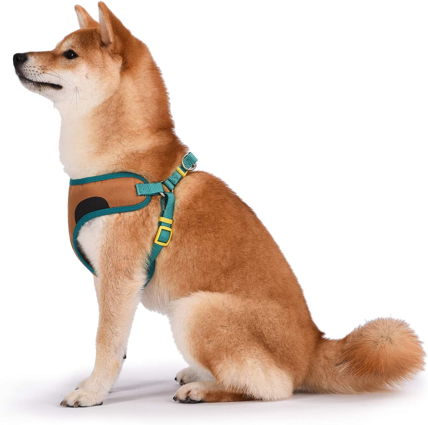 Warner Brothers Scooby-Doo Soft and Comfortable Dog Harness for Small Dogs | No Pull Tan and Blue Design | Stylish and Functional Harnesses for Small Breeds