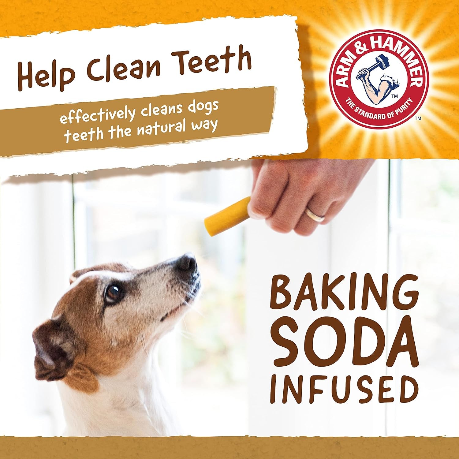 Faux-Hide Chicken Flavor Dental Treat Rolls for Dogs, 7 Pieces | 5 Oz Rawhide-Free Chews with Baking Soda Enhanced Formula for Fresh Breath