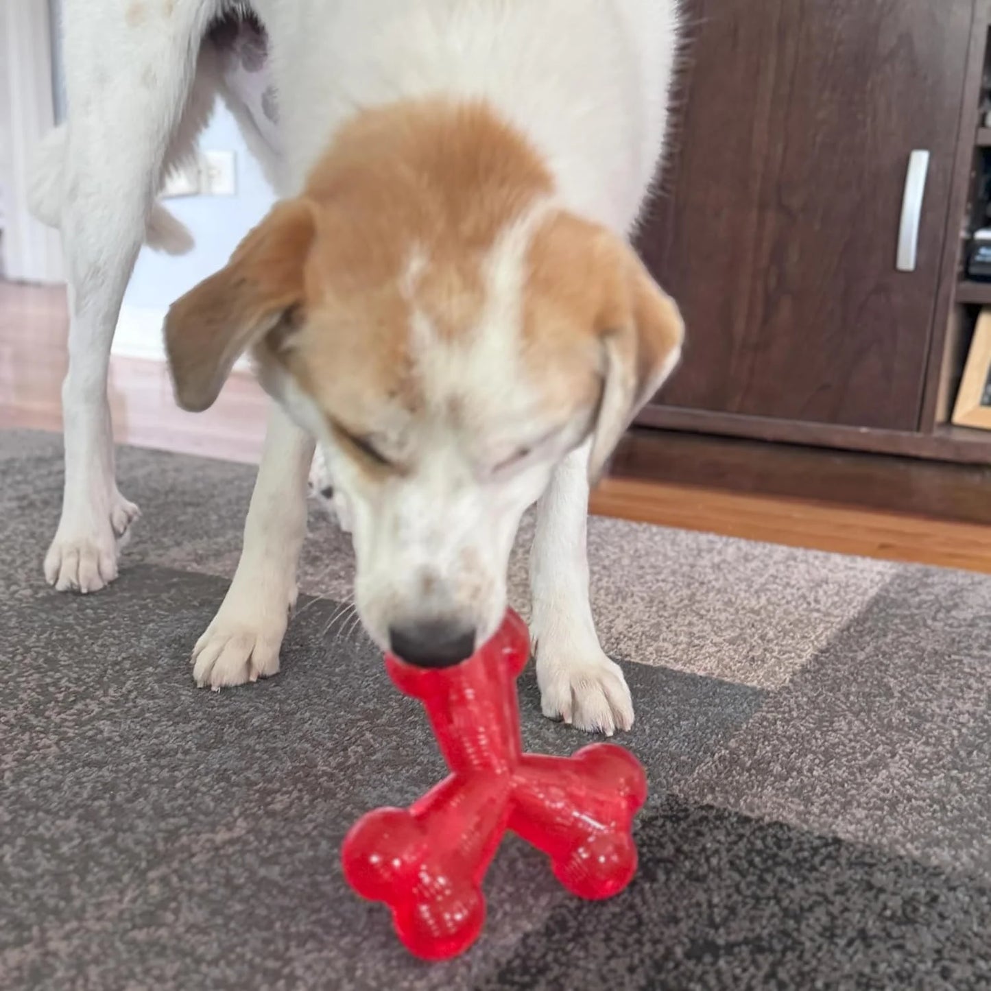 Play Strong Trident Bone Rubber Dog Toy - Y Shape, Durable Chew for Aggressive Chewers with Hollow Center for Treats, 6 Inch