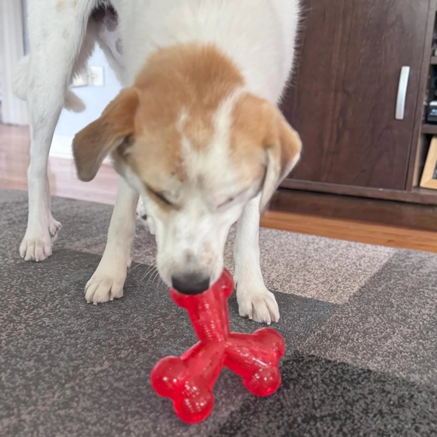 Play Strong Trident Bone Rubber Dog Toy - Y Shape, Durable Chew for Aggressive Chewers with Hollow Center for Treats, 6 Inch