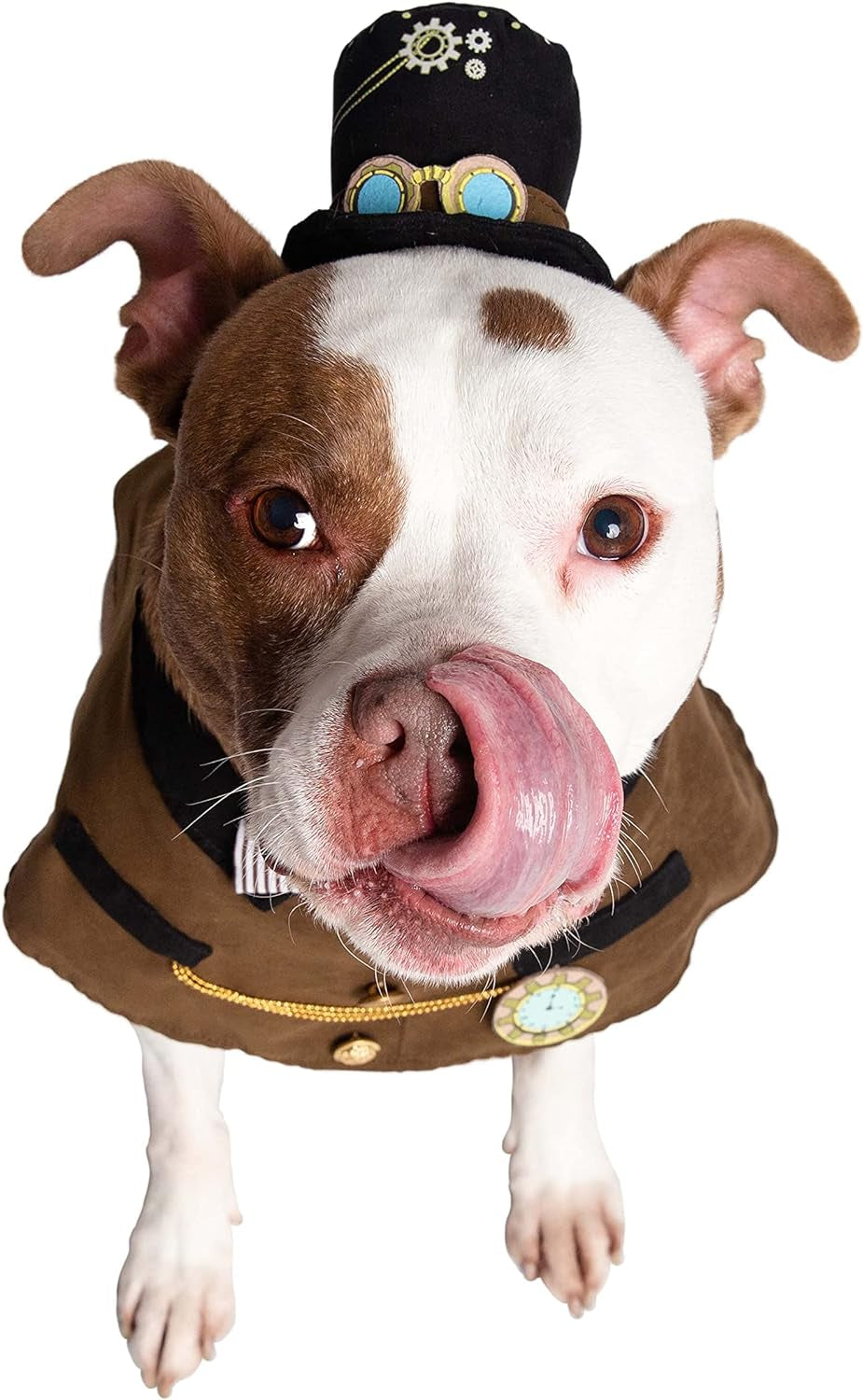 Steampunk-Inspired Costume Hat and Collar Set for Small Dogs and Cats - Perfect for Halloween, Christmas, Parties, Photoshoots, and Gifts for Pet Lovers