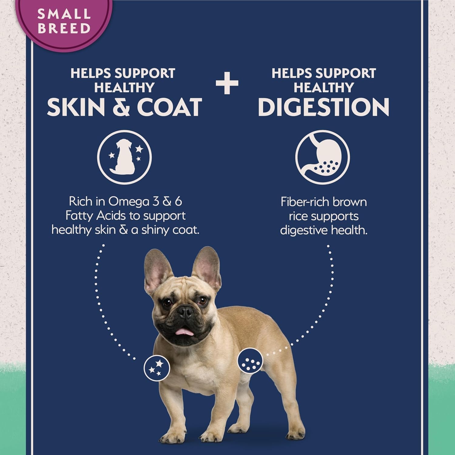 Limited Ingredient Small Breed Adult Grain-Free Dry Dog Food, Chicken & Sweet Potato Recipe, 4 Pound (Pack of 1)