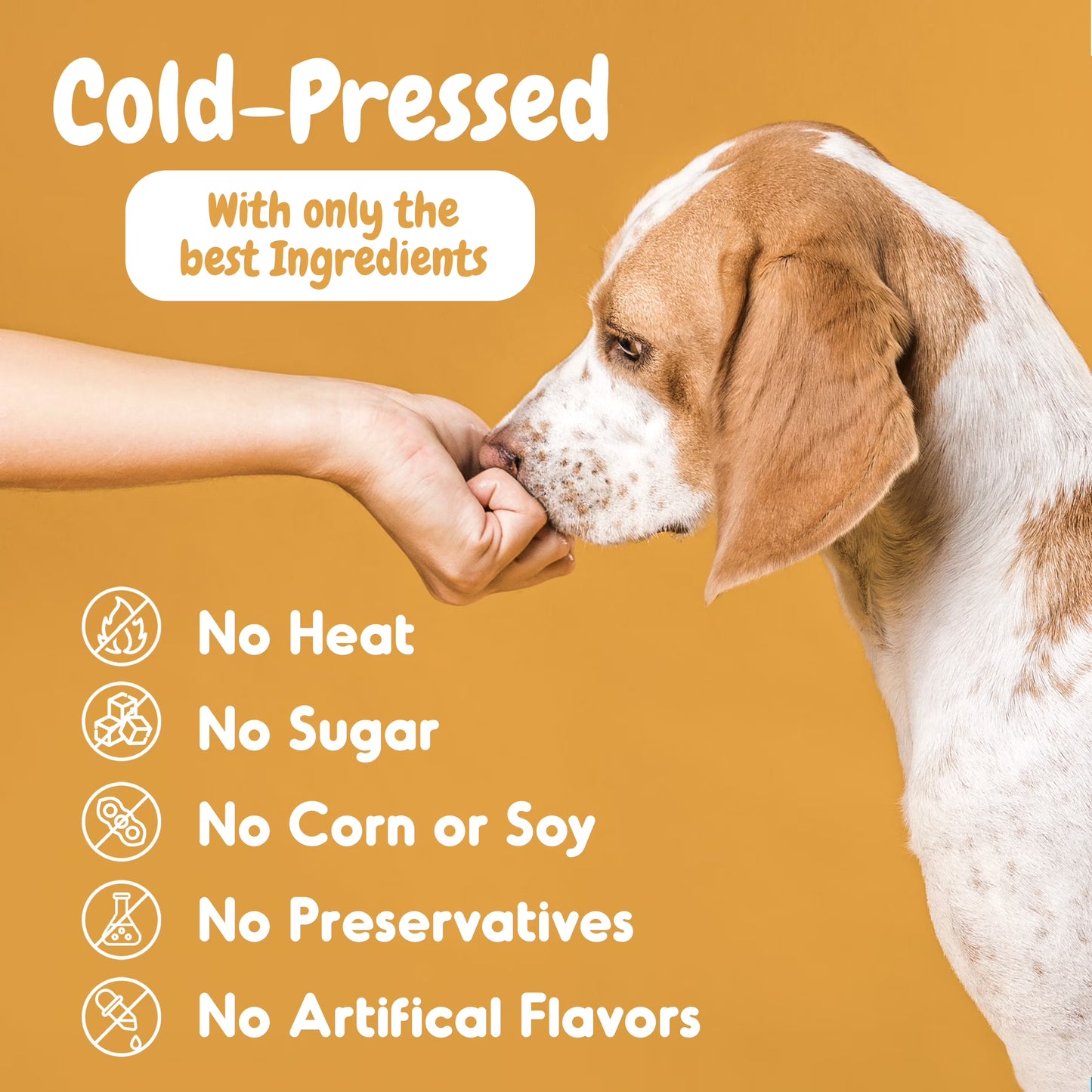 Dog Probiotics Chews for Digestive Health, Itchy Skin Relief, and Yeast Support - 120 Count