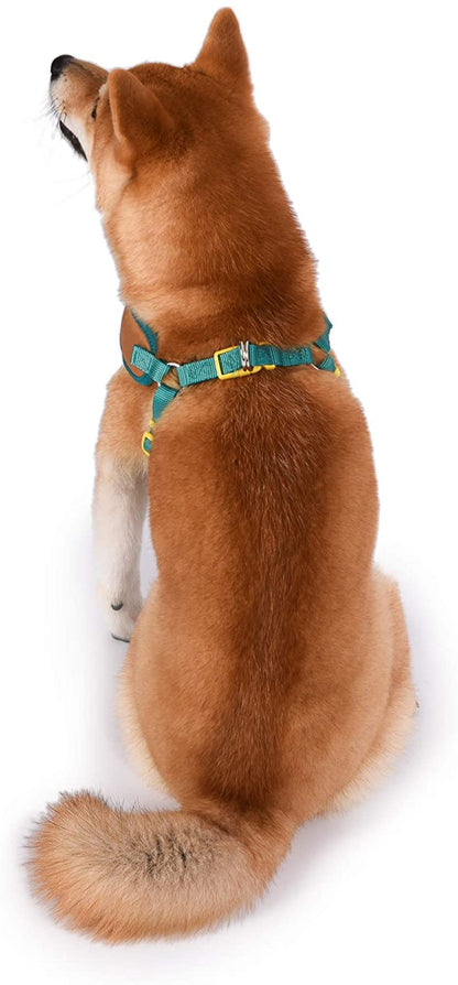 Warner Brothers Scooby-Doo Soft and Comfortable Dog Harness for Small Dogs | No Pull Tan and Blue Design | Stylish and Functional Harnesses for Small Breeds