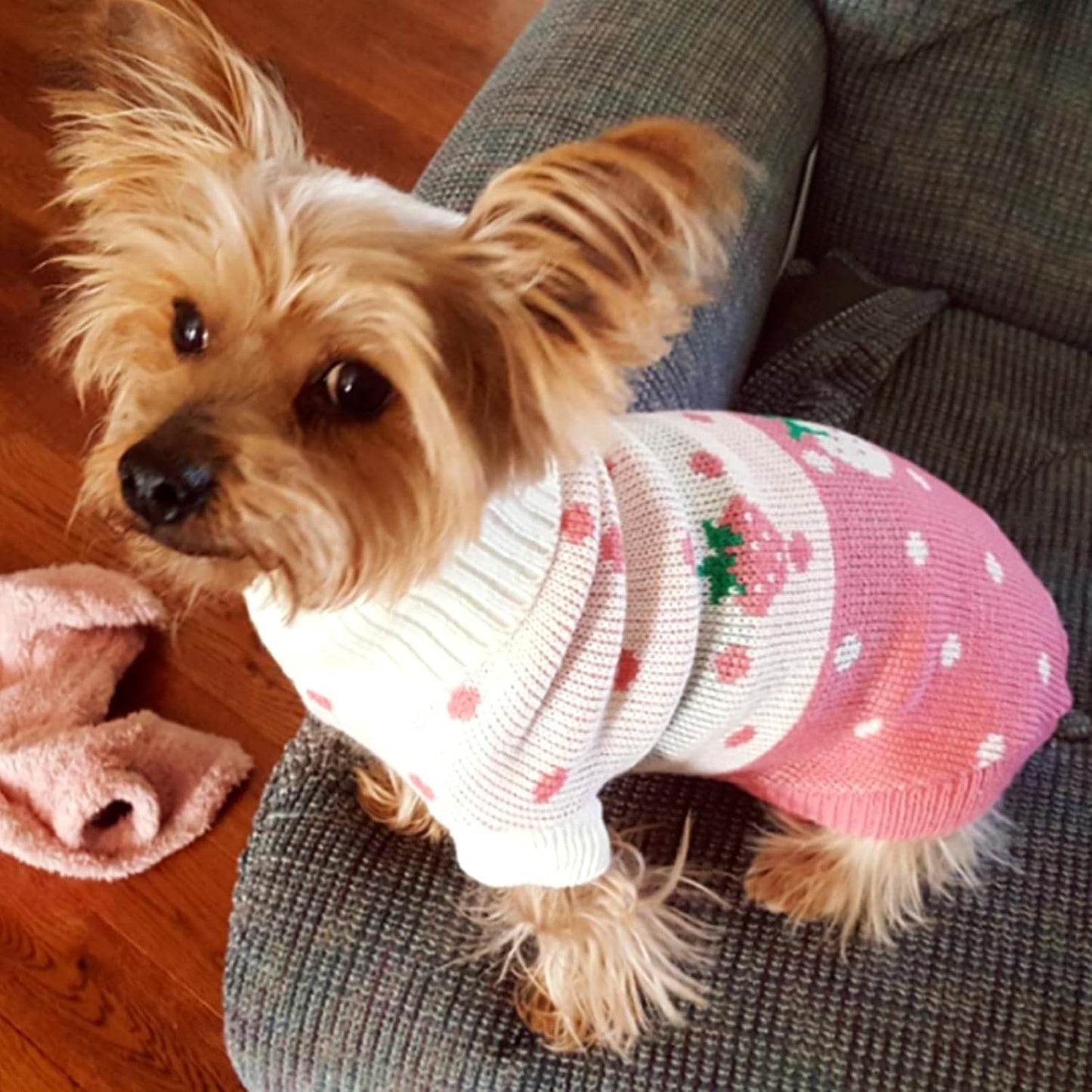 Classic Knit Turtleneck Dog Sweater for Winter - Pink Medium with Strawberry and Heart Design
