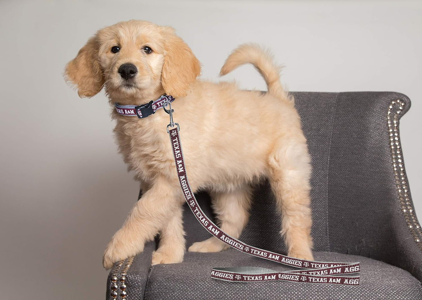 NCAA Licensed Large Pet String, Texas A&M Aggies, Vibrant and Colorful Design for Dogs and Cats, Classic Edition