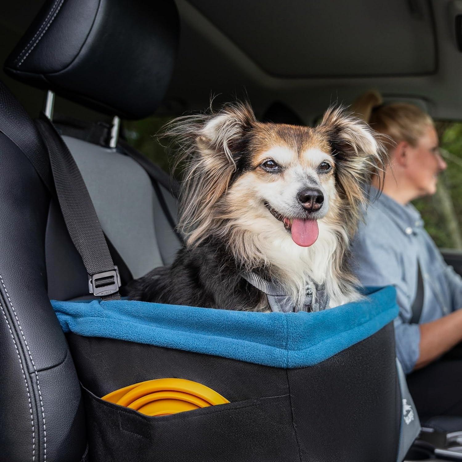Dog Booster Seat for Secure and Comfortable Travel - Waterproof Exterior, Removable Washable Liner, Harness Strap, Collapsible Design - Rover Style in Black/Blue