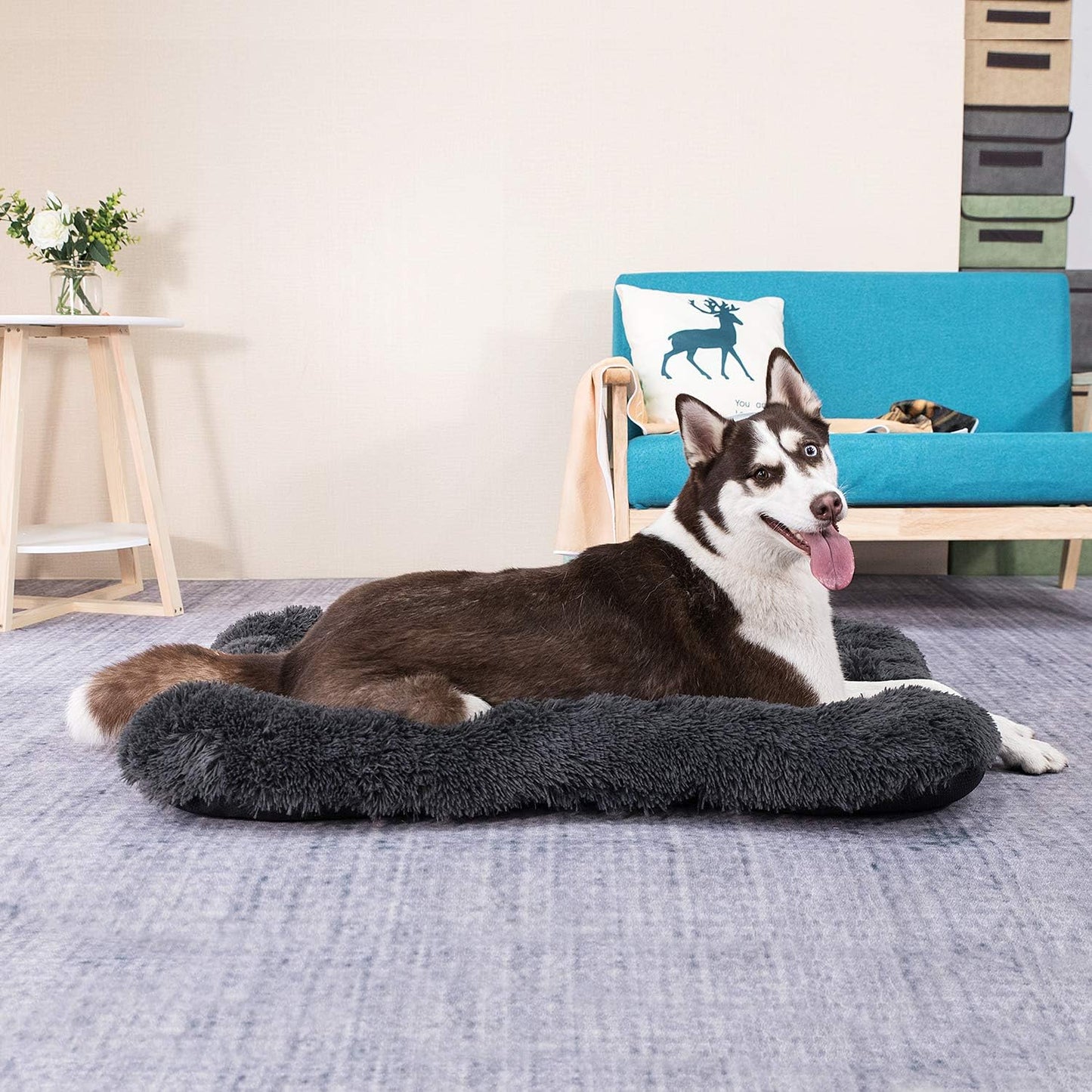 Deluxe Plush Dog Bed and Crate Mat - Fluffy, Comfortable, Anti-Slip, Washable Cushion for Medium to Extra Large Dogs (X-Large, Black)