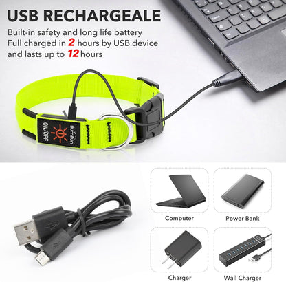 Rechargeable LED Dog Collar - Glow-in-the-Dark Safety Light for Night Walking and Camping (Green, Large)