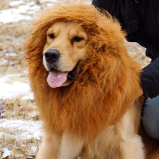 Majestic Lion Mane Cosplay Costume for Medium to Large Dogs - Complete with Ears!